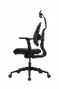 D2-200 Gray (3).webp
